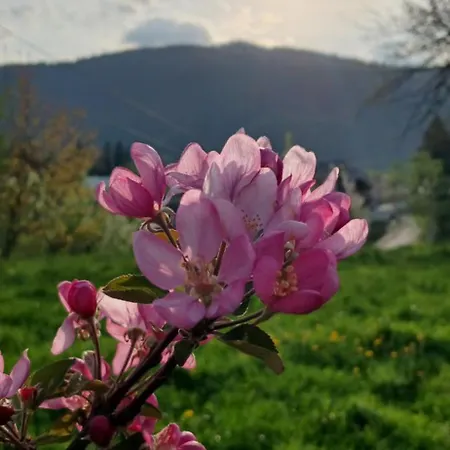 на пагорбі Микуличин