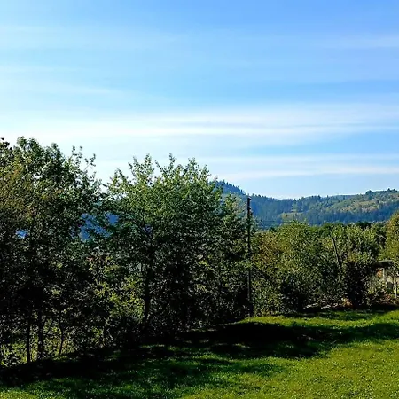 на пагорбі בית כפרי *