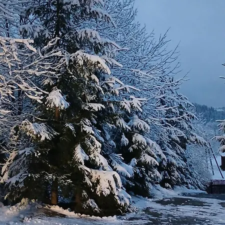 Летний дом на пагорбі
